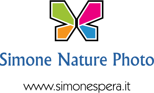 Simone Nature Photo